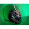 Image 4 : Bucket of Misc. Tools - Wrench Set, Work Light, Springs