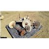 Image 2 : Pallet of Vintage Grinding Stones - Assorted Sizes
