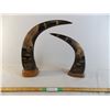 Image 1 : (2) Horn looking carved Eagle artwork (no name markings)