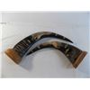 Image 7 : (2) Horn looking carved Eagle artwork (no name markings)
