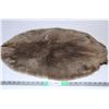 Image 1 : Beaver Pelt