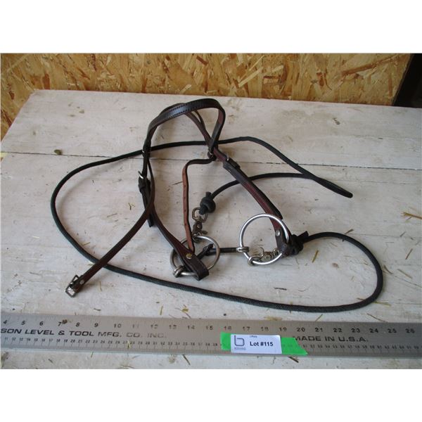 Halter Bridle