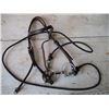 Image 2 : Halter Bridle