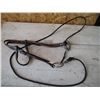 Image 3 : Halter Bridle