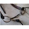 Image 4 : Halter Bridle