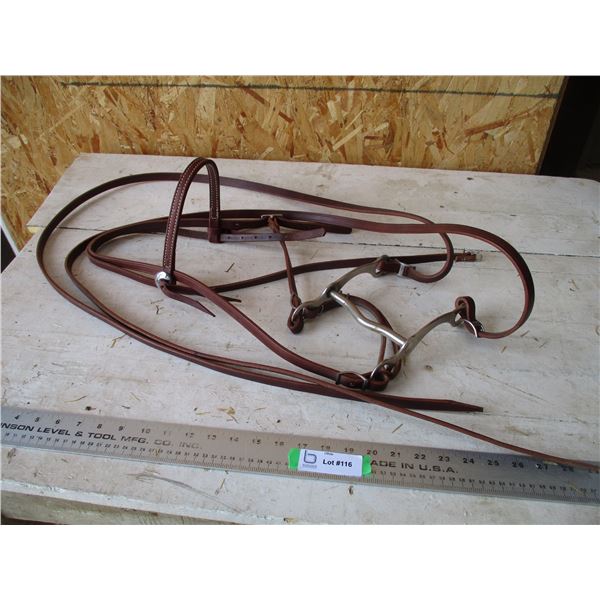Halter Bridle