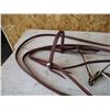Image 2 : Halter Bridle