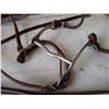 Image 4 : Halter Bridle