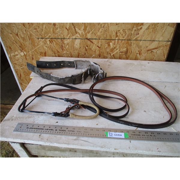 Halter with pad / bridle