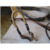 Image 3 : Halter with pad / bridle