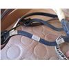 Image 5 : Halter with pad / bridle