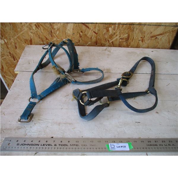 (2) Halters - blue