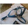 Image 2 : (2) Halters - blue