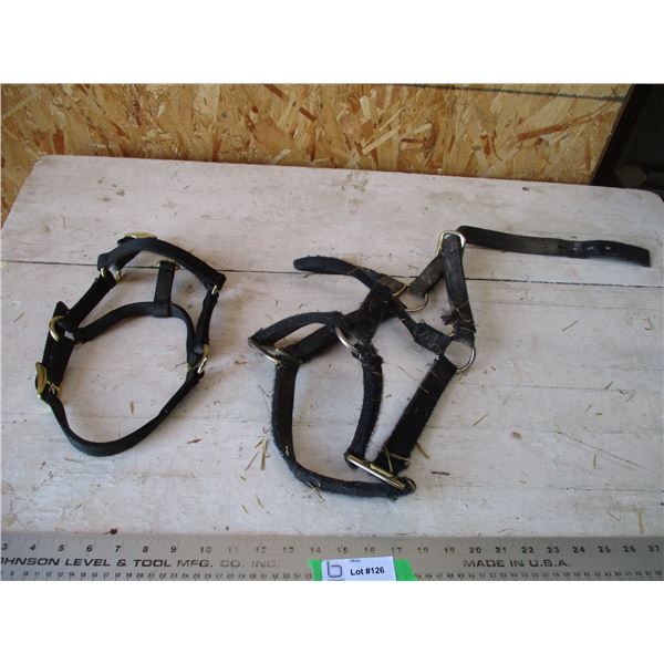 (2) Halters - black