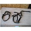 Image 1 : (2) Halters - black