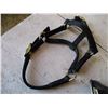 Image 2 : (2) Halters - black