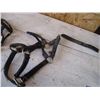 Image 3 : (2) Halters - black