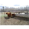 Image 5 : 20G Cow / Calf Pair - 12K Bull Calf