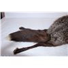 Image 2 : Fox Stole