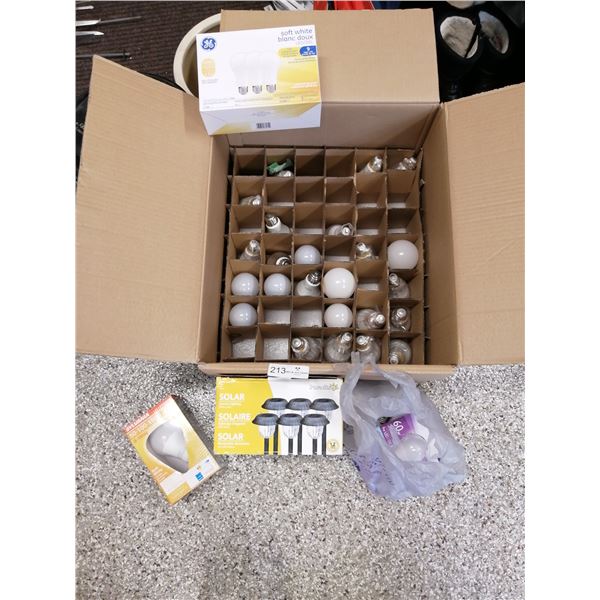 Assorted Light Bulbs and Solar Lights