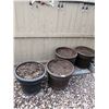 Image 1 : 4 Large Flower Pots