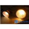 Image 10 : Assorted Outdoor Flood Lights and Other Bulbs
