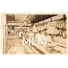 Image 1 : A. Perrez Butcher Shop Interior Photo Postcard