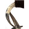 Image 12 : Extraordinary American Steer Horn & Cowhide Chair