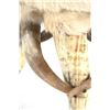 Image 18 : Extraordinary American Steer Horn & Cowhide Chair