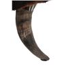 Image 8 : Stunning American Steer Horn & Cowhide Ottoman