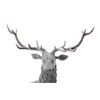 Image 13 : OUSTANDING Life Size Montana Elk Bronze Sculpture