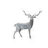 Image 1 : OUSTANDING Life Size Montana Elk Bronze Sculpture