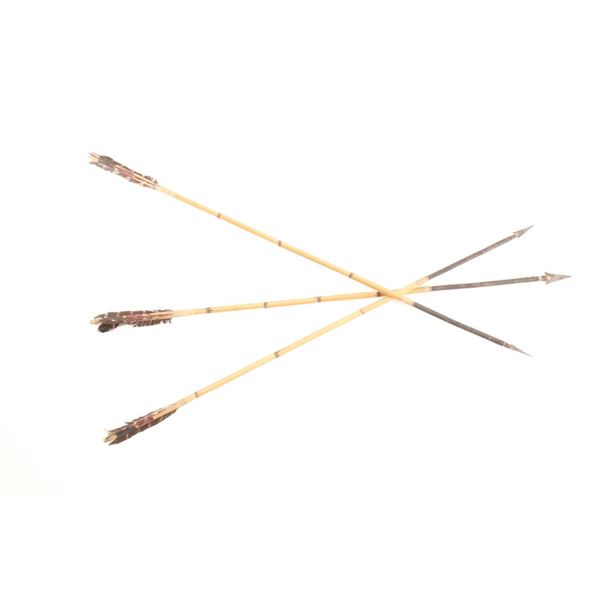 C. 1870 Chiricahua Apache Metal Tip Arrows (3)