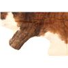 Image 10 : Exotic Tri-Colored Speckled Cowhide Premium Rug