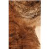 Image 11 : Exotic Tri-Colored Speckled Cowhide Premium Rug