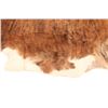 Image 9 : Exotic Tri-Colored Speckled Cowhide Premium Rug