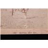 Image 11 : 19th Century Montana "Cow Boy" StereoView & Photos