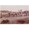 Image 3 : 19th Century Montana "Cow Boy" StereoView & Photos