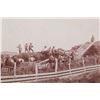 Image 4 : 19th Century Montana "Cow Boy" StereoView & Photos