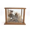 Image 2 : Northern Bobwhite Taxidermy Wildlife Scene Display