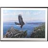 Image 1 : William Bailey Eagle With Eaglet Limited Ed Print