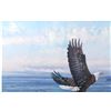 Image 4 : William Bailey Eagle With Eaglet Limited Ed Print