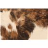 Image 10 : Exotic Tri-Colored Cowhide Brindle Premium Rug