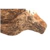 Image 8 : Exotic Tri-Colored Cowhide Brindle Premium Rug