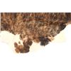 Image 9 : Exotic Tri-Colored Cowhide Brindle Premium Rug