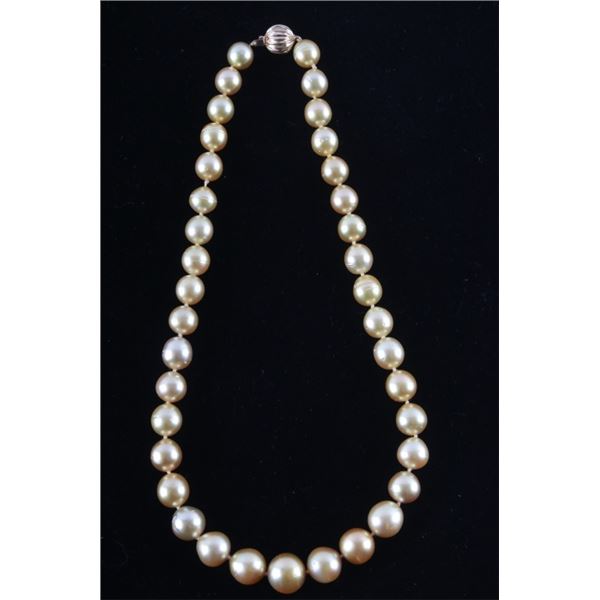 RARE Natural Golden South Sea Pearl Necklace