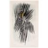 Image 1 : Hans Hartung, Lithograph 