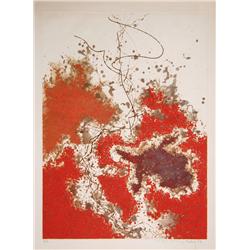 Yannick Ballif, Sea Turtle, Aquatint Etching