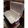 Image 2 : COLEMAN CAMP STOVE AND IGLOO COOLER
