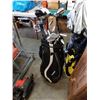Image 1 : ADAMS GOLF BAG WITH GOLF CLUBS